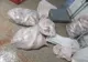Suceveni prinși la Tulcea cu peşte fără documente legale