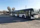 Cum vor circula autobuzele de Craciun si Anul Nou