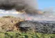 FOTO VIDEO Incendiu de vegetaţie uscată și stuf în Tulcea