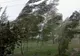 Alertă meteo. Cod galben de VÂNT în județele Constanța și Tulcea