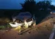 Tulcea  Accident mortal după ce o șoferiță de 19 ani a intrat cu mașina într-un copac