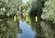 Măsuri pentru protecția habitatelor naturale din Rezervația Biosferei Delta Dunării