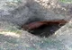    VIDEO Cal salvat de pompieri după ce a căzut într-o groapă