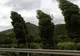 Alertă meteo. Cod galben de VÂNT pentru județele Constanța și Tulcea