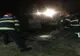 VIDEO Cal salvat de pompierii tulceni