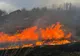 VIDEO Incendiu violent în zona Lacului Somova