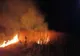 Incendiu violent de vegetație și stuf în Turcoaia