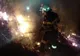 FOTO Incendiu violent la Jijila. Zeci de hectare de vegetație uscată făcute scrum 