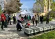 FOTO 31 de câini și-au găsit o casă prin târgul de adopții