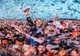 Experiențe memorabile. Neversea recrutează peste 1000 de voluntari