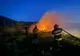 VIDEO  5 tone de gunoi de grajd și vegetație uscată în flăcări la Somova