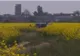 Rămăşiţe umane carbonizate, găsite în portbagajul unei maşini incendiate pe câmp