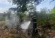 Incendiu de vegetație în Măgurele , izbucnit din cauza unei țigări