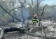 VIDEO Incendiu violent în pădurea  Bididia 
