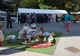 Târg de Toamnă cu bunătăți tradiționale la Tulcea