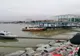 FOTO VIDEO Alertă la Tulcea! Bărbat căutat de scafandri în apele Dunării