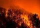  Sprijin financiar pentru refacerea potențialului forestier afectat de incendii, de fenomene meteorologice nefavorabile