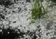 Alertă meteo. Cod galben de fenomene extreme: vijelii puternice și grindină 