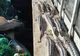 FOTO VIDEO  Braconaj în Delta Dunării: sute de kilograme de peste descoperite de polițiștii de frontieră