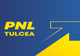 PNL Tulcea şi-a depus candidaturile pentru parlamentare