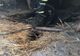 FOTO Explozie urmată de incendiu la Carcaliu