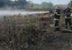 15 hectare de vegetație uscată făcute scrum, în Tulcea